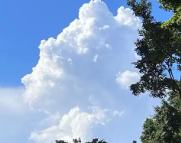 南充天气预报,南充7天天气预报,南充15天天气预报,南充天气查询